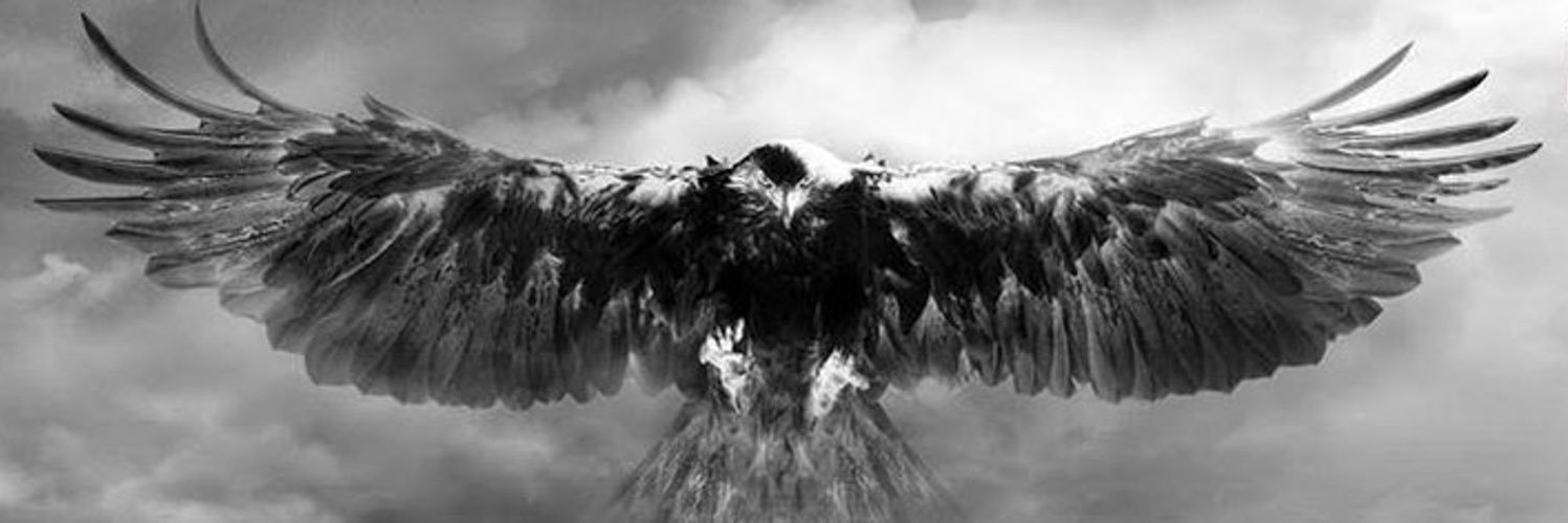 serdardemso's profile banner image