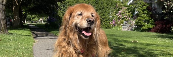 JackBeTweeting Profile Banner