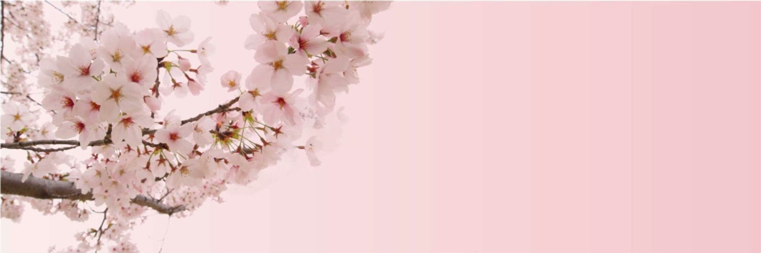 Karinacul's profile banner image