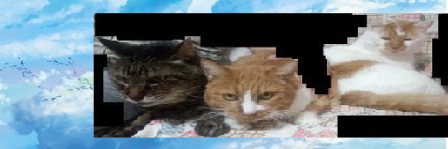 putiputishe's profile banner image