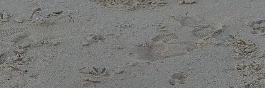 bili_43's profile banner image