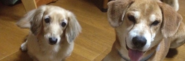 pecosp709's profile banner image