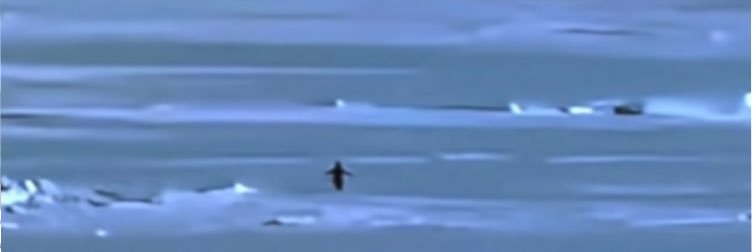 SnoozeBrah (137 IQ) 🇻🇦 banner