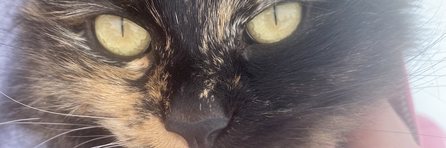 bethnoel10's profile banner image