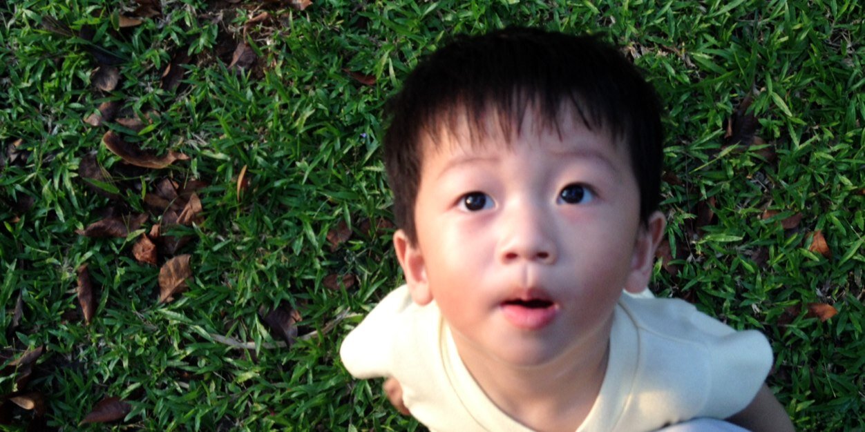 fiktorchen's profile banner image