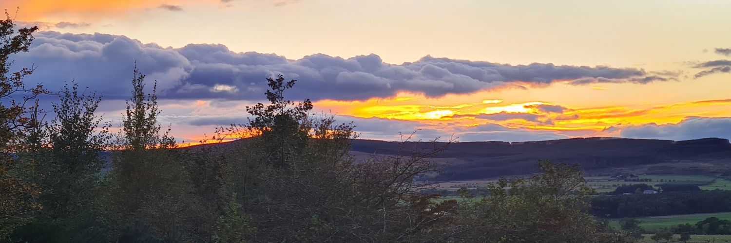 Terry Johnstone banner