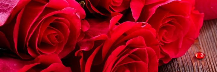 Indianboy011's profile banner image