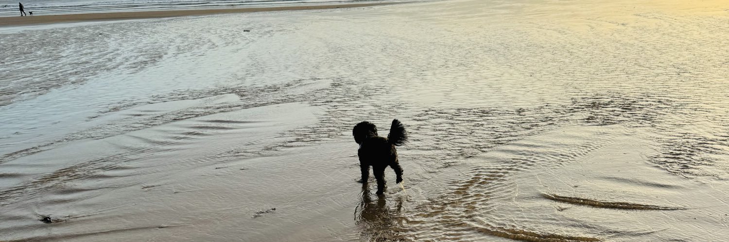 Vera🐶's banner