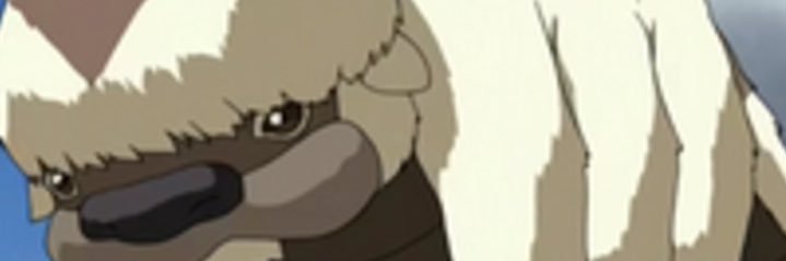 avatar aang banner