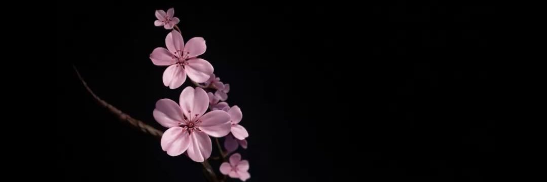 ale banner