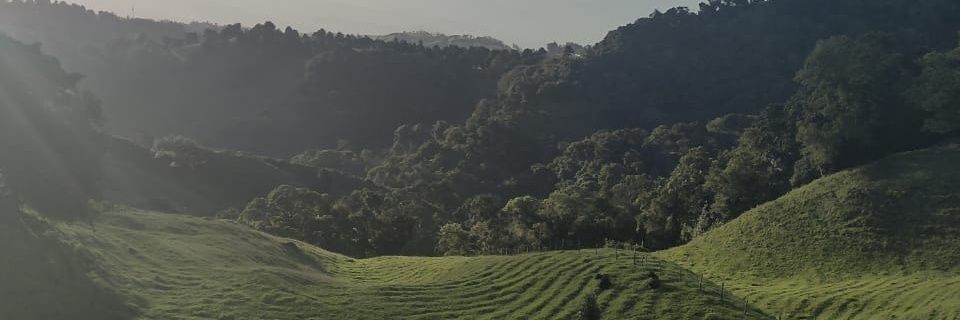 Jacquelinchva's profile banner image