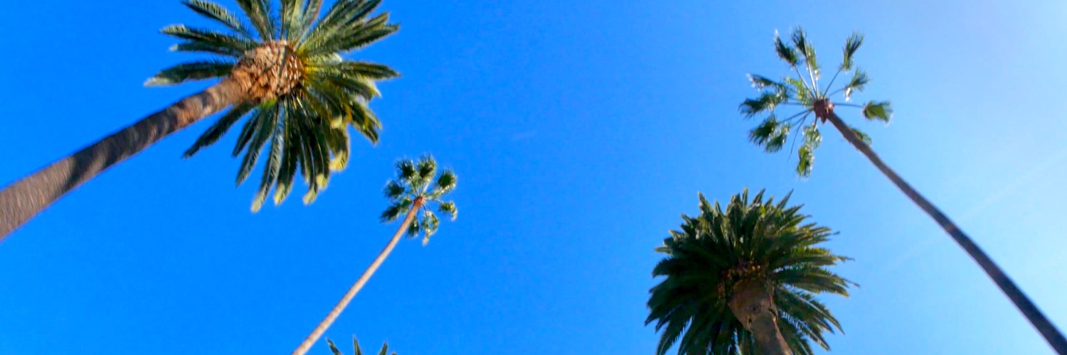 Silicon Beach with Jon V banner