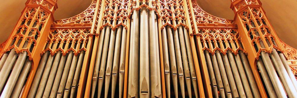Epic beard dude banner