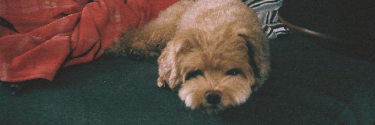 タビナスジェファーソン/JeffersonTabinas banner