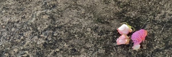 pipkinloh Profile Banner