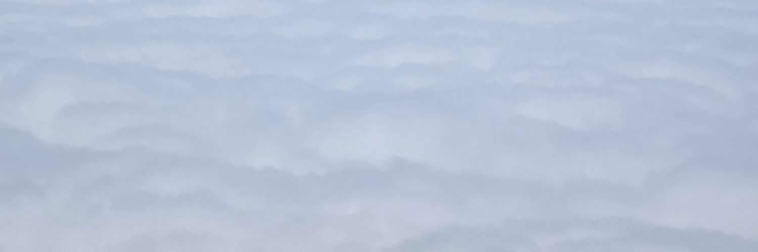 Bellja banner