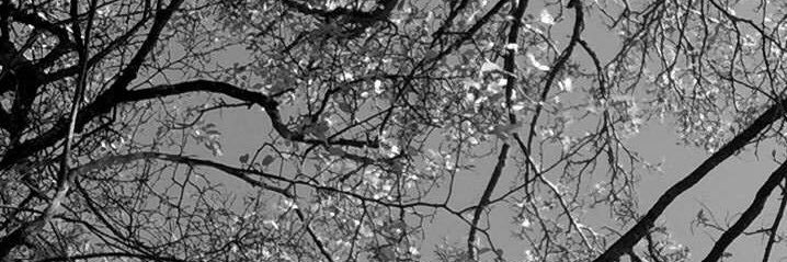 imarlyr_'s profile banner image
