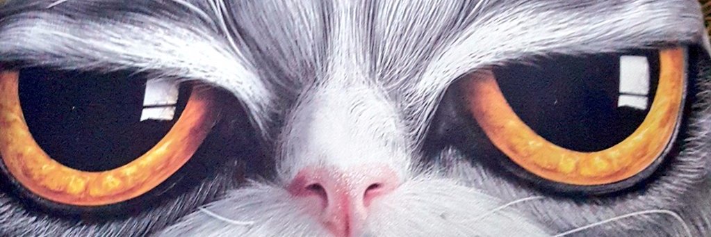 FakeHesap77's profile banner image