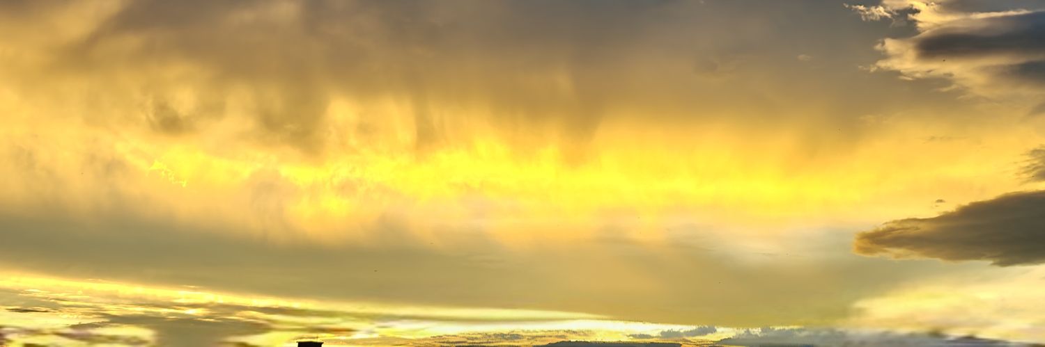 10051006T's profile banner image