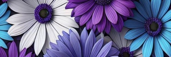 _ivasha_ Profile Banner