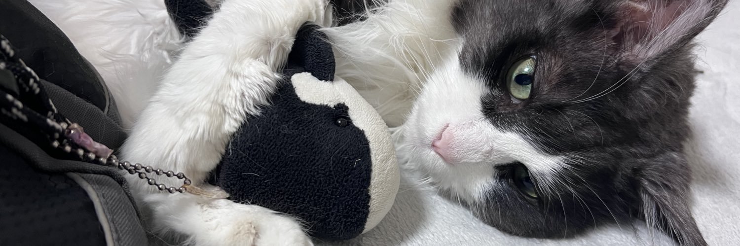 せいこ👀🫧 banner