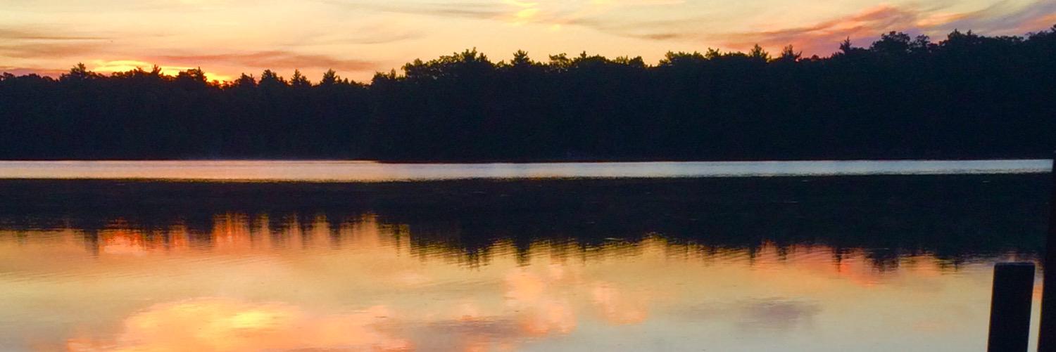 david_diamond banner