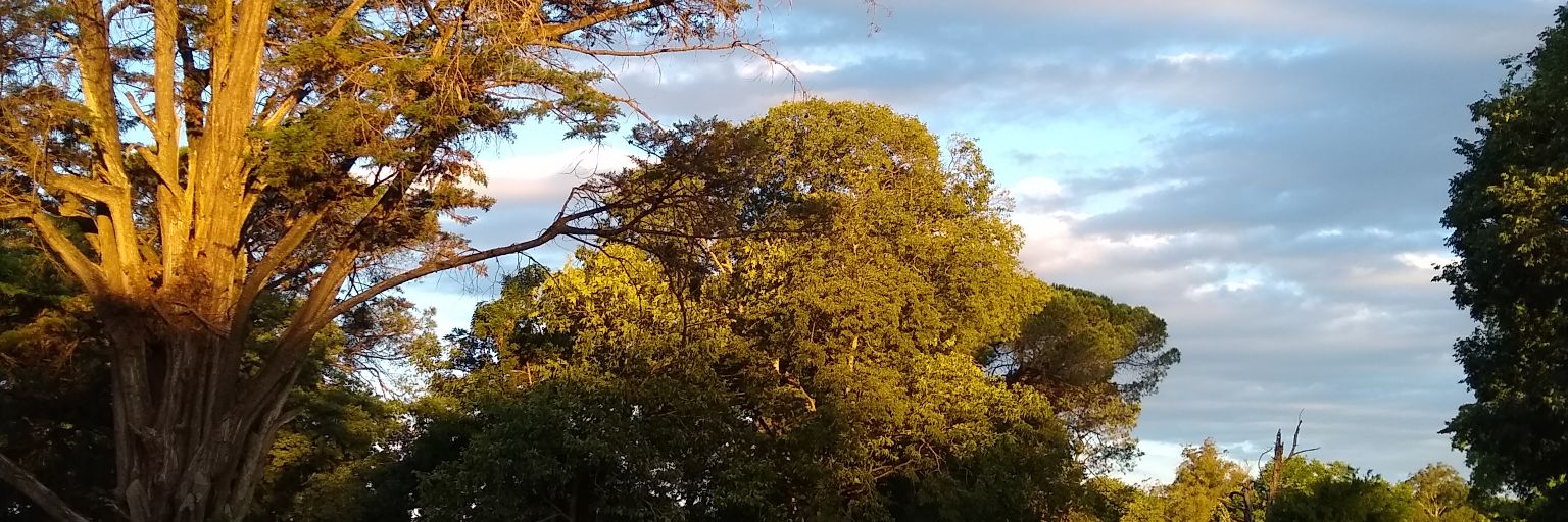 GimenezDebo's profile banner image