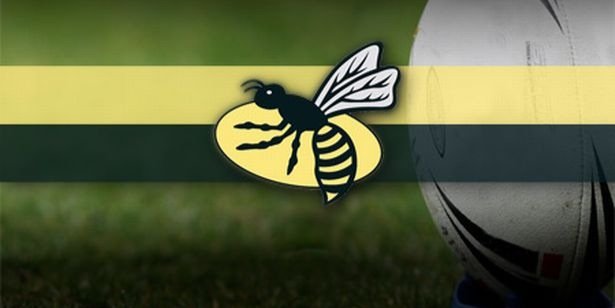 CovWasps's profile banner image