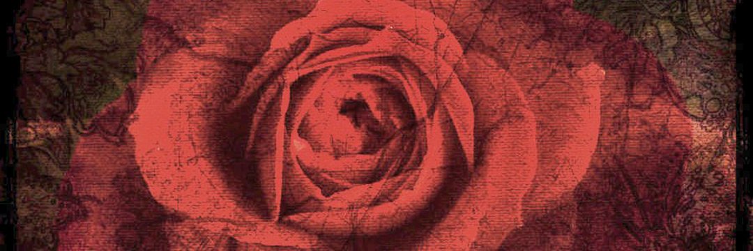 ~𝐒𝐞𝐩𝐡𝐢𝐫𝐨𝐭𝐡 𝐂𝐫𝐞𝐬𝐜𝐞𝐧𝐭~ banner