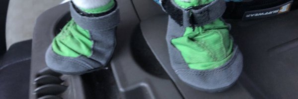 _dorai_ Profile Banner