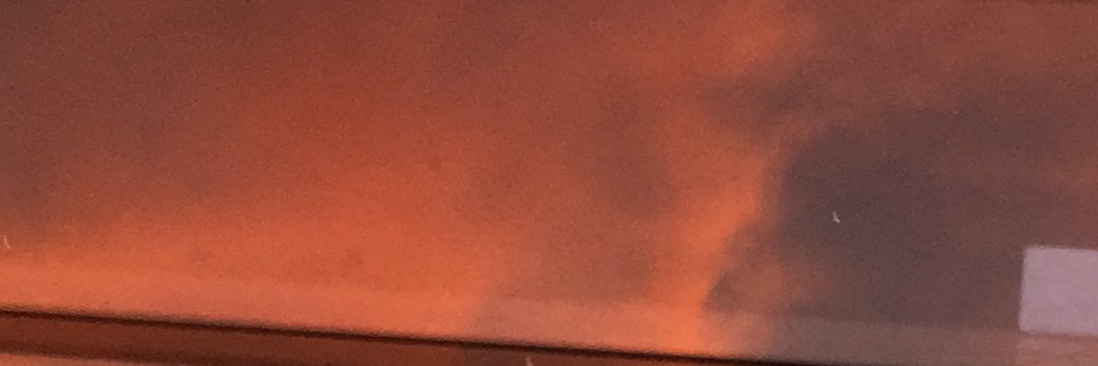 Reinny Almonte banner