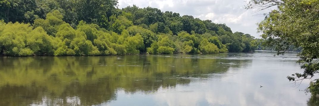 HCJPS@Campbell banner