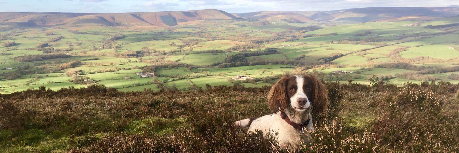 CharlieDOG1990's profile banner image