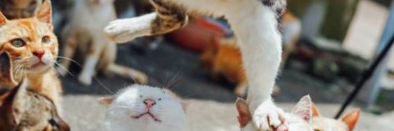 Taby_216's profile banner image