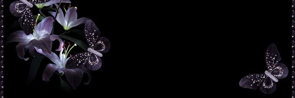 .˚𓏲♱ adrian ! 🦇ೄྀ banner