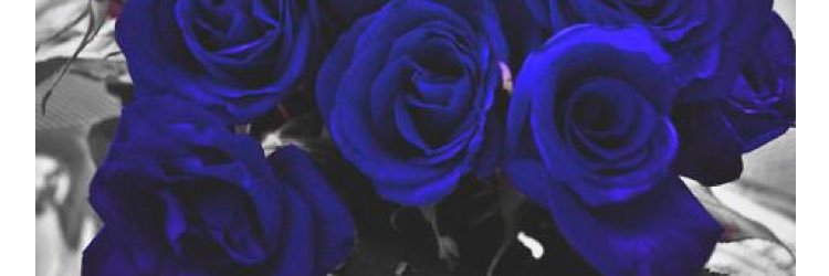 AfricanMulan's profile banner image