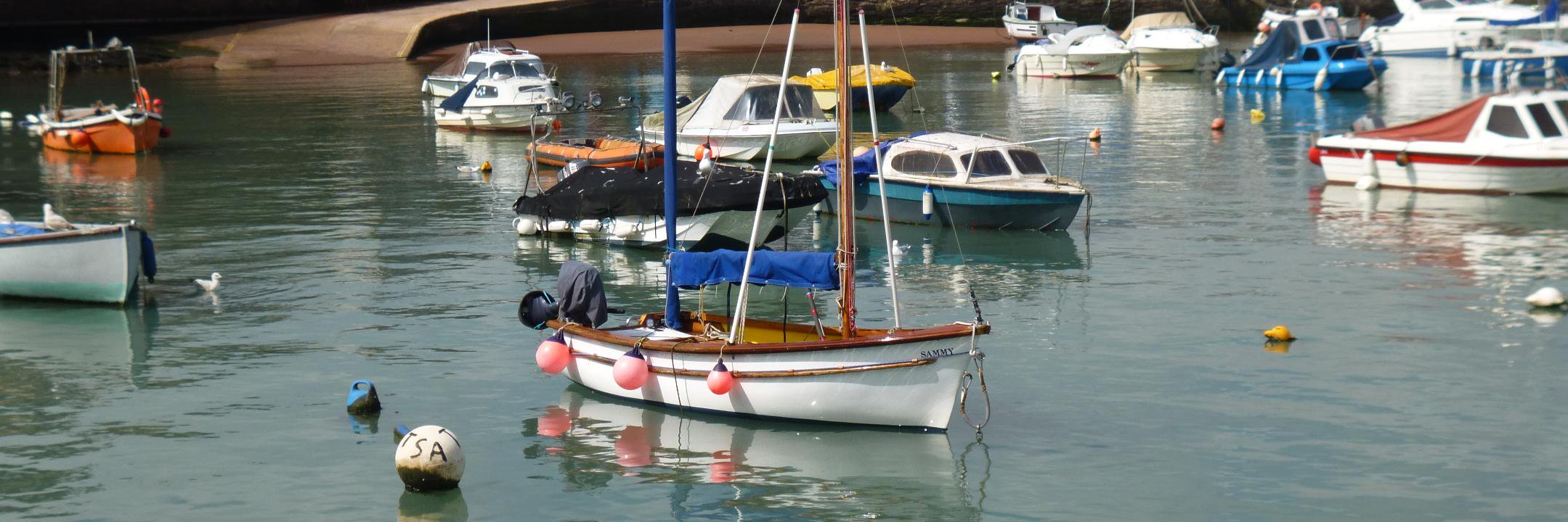InNearDevon's profile banner image