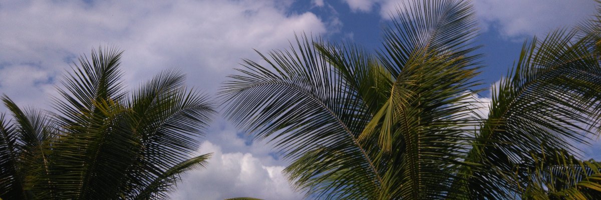 tithamar1's profile banner image