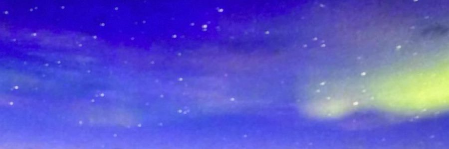 CloveP0224less's profile banner image