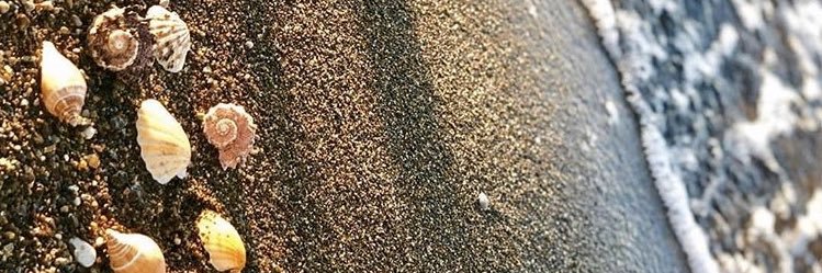 dlrdrsnn's profile banner image