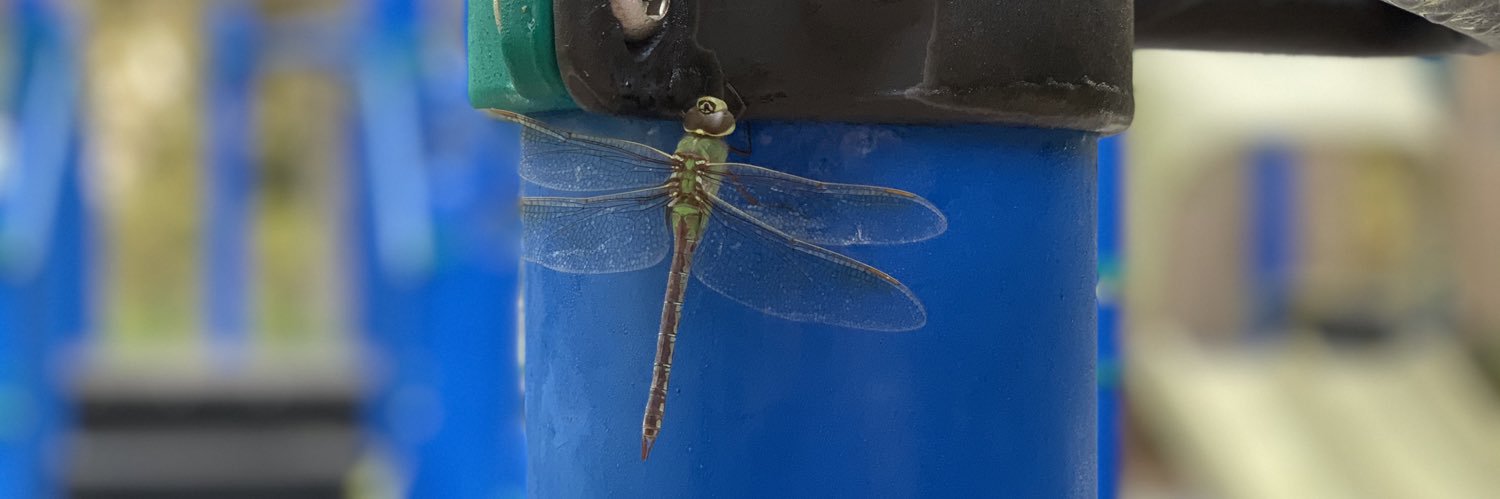 Adam Corleone banner