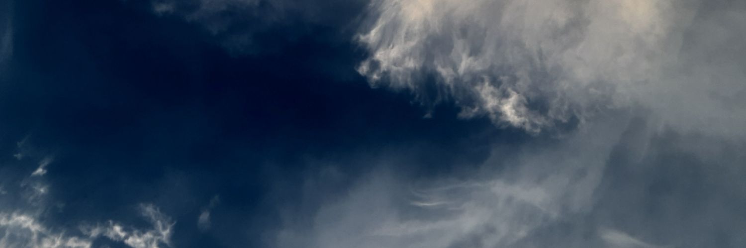 jaerjit's profile banner image