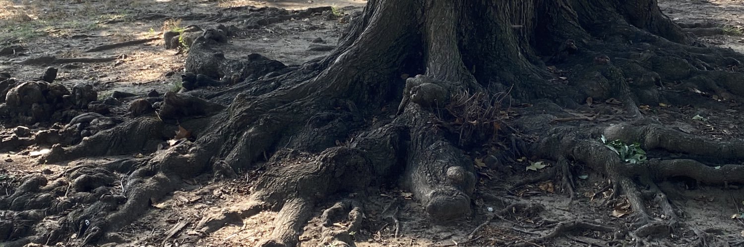 alexmillller's profile banner image