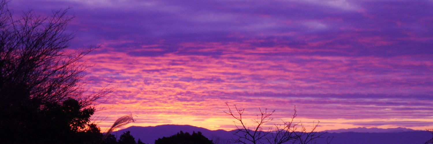 にきにん🌿 banner