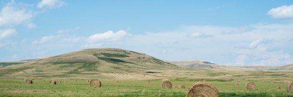 nuttidarungrat Profile Banner