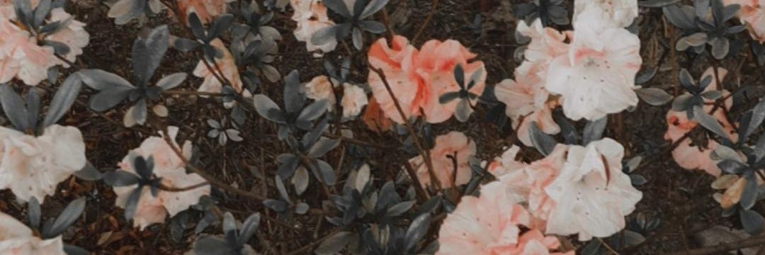 hotteaspiller's profile banner image