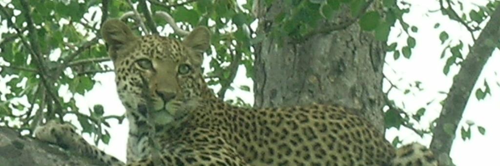 DirecttravelES's profile banner image