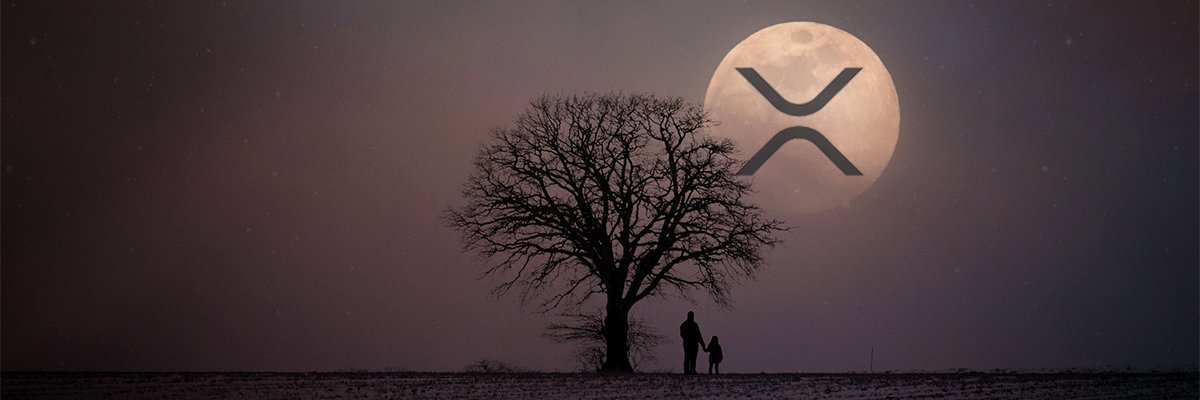 mitranix's profile banner image