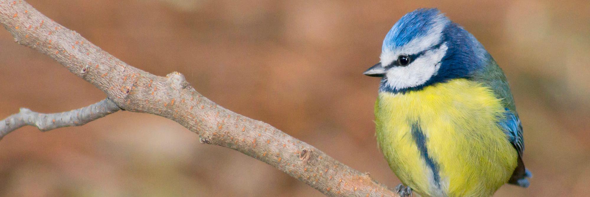 Biogeos's profile banner image