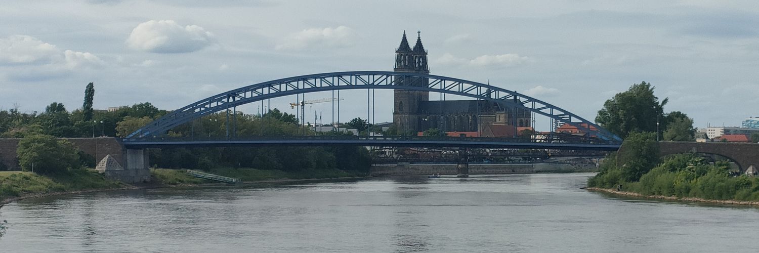 Karim A. Adly banner